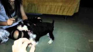 Bubble Hand N Food By Magisto