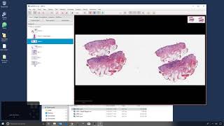 3 - Creating Projects
