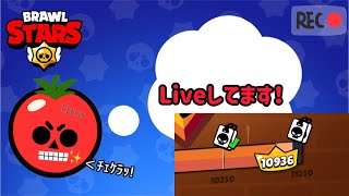 とまてぃーな【ブロスタ】の配信のサムネイル画像