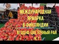 Татьяна. Финляндия. Suurmarkkinat Kuopio. Международная ярмарка в Куопио. Август 2021   ч.1