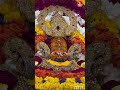 #hare ka Sahara#Baba Khatu Shyam 🙏🌹#Jay Shri Khatu Shyam 🙏♥️