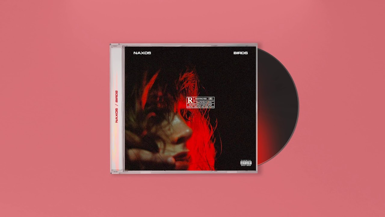 (FREE) Travis Scott Type Beat - Birds (Prod by Naxos)