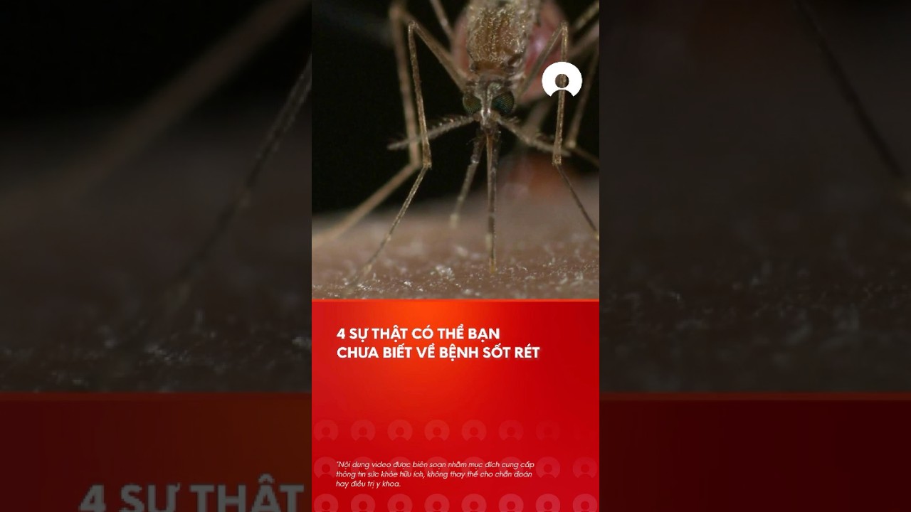 4 Ä‘iá»u cÃ³ thá»ƒ báº¡n chÆ°a biáº¿t vá» bá»‡nh sá»‘t rÃ©t #malaria
