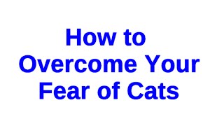 How to Overcome Your Fear of Cats