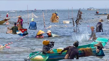 Độc Đáo Nghề Đạp Cá Kèo Ở Rạch Giá║Xà Lan Ghe Thuyền Vượt Cống Miền Tây