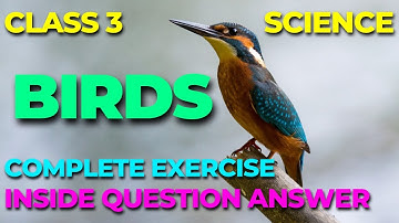 Birds Question Answer Class 3 Science | Class 3 Science Birds inside question answer