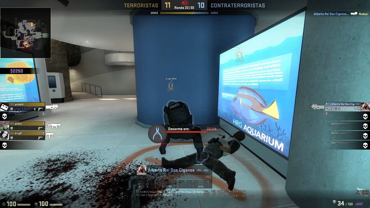 Csgo Zoo - YouTube