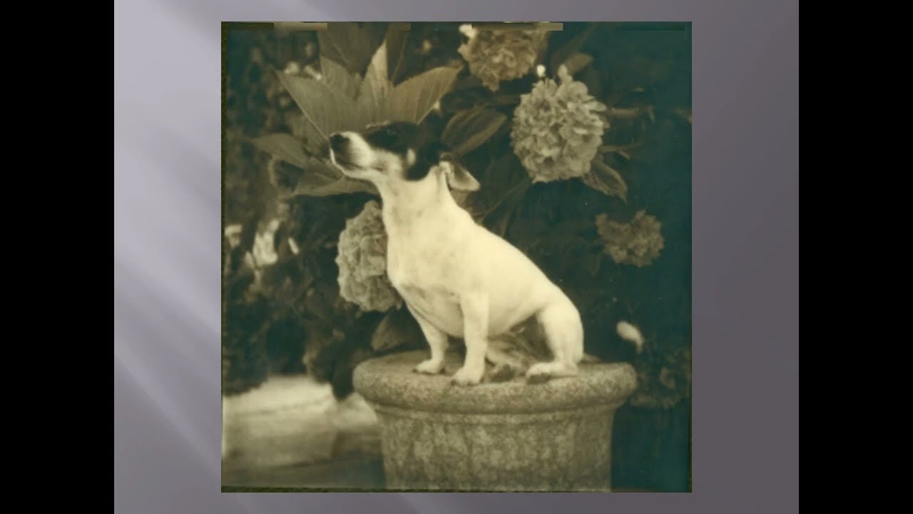 COLORNOPHOTOLIFE 2014