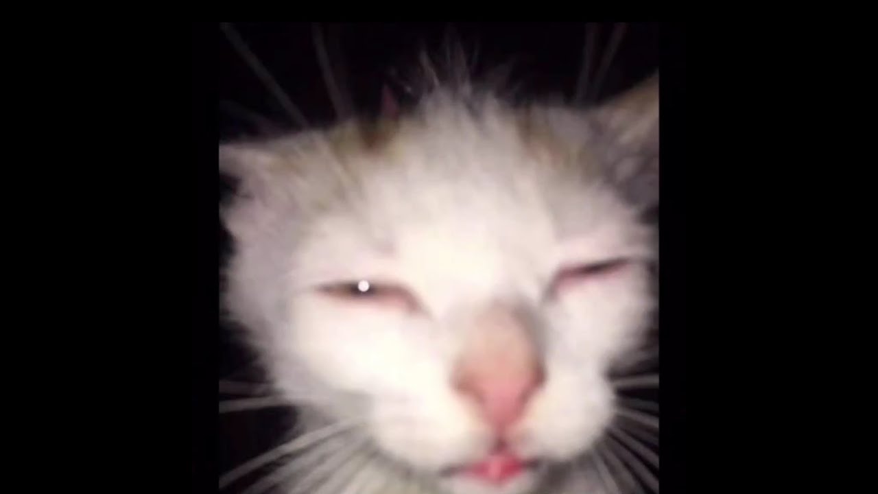 smokes-gg-montage-ebz-stewie-youtube
