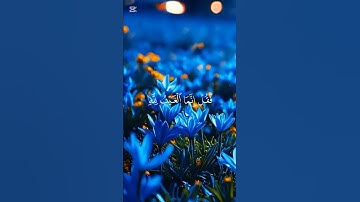 { فَقُلْ إِنَّمَا الْغَيْبُ لِلَّهِ } سورة يونس #quran #قران #القرآن_الكريم #عبدالرحمن_مسعد