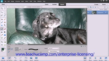 Adobe Photoshop Elements 12 Tutorial Brush Settings Employee Group Training  7.3