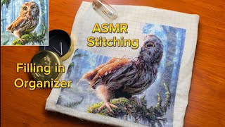 Filling Organizer. Stitching Cute Owl. No talking