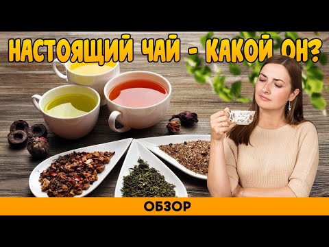 Вы НИКОГДА не пили настоящий ЧАЙ - Хотите знать почему?