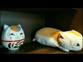【夏目友人帳聖地巡礼】3年前の動画/熊本県人吉水害前(75本目)