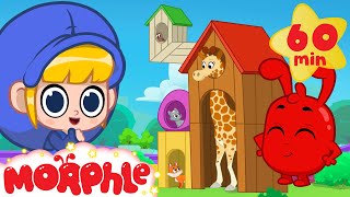 A House for the Giraffe! | Morphle | Animals for Kids | Animal Cartoons | @Morphle screenshot 5