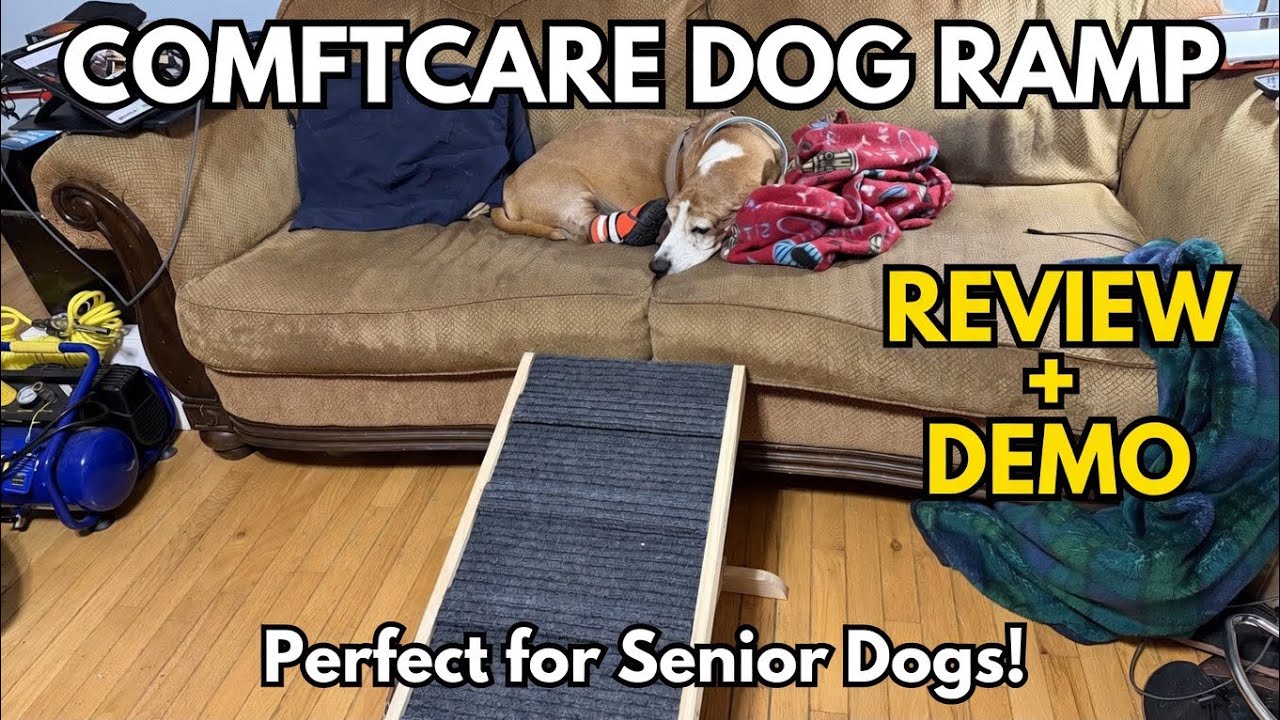 Comftcare Dog Ramp Review | Best Ramp for Small, Senior & Arthritic ...