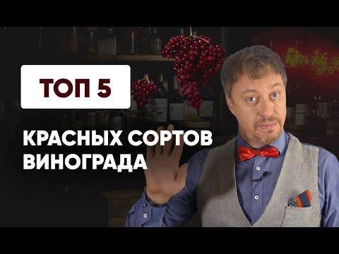 Топ-5 [КРАСНЫХ СОРТОВ ВИНОГРАДА]