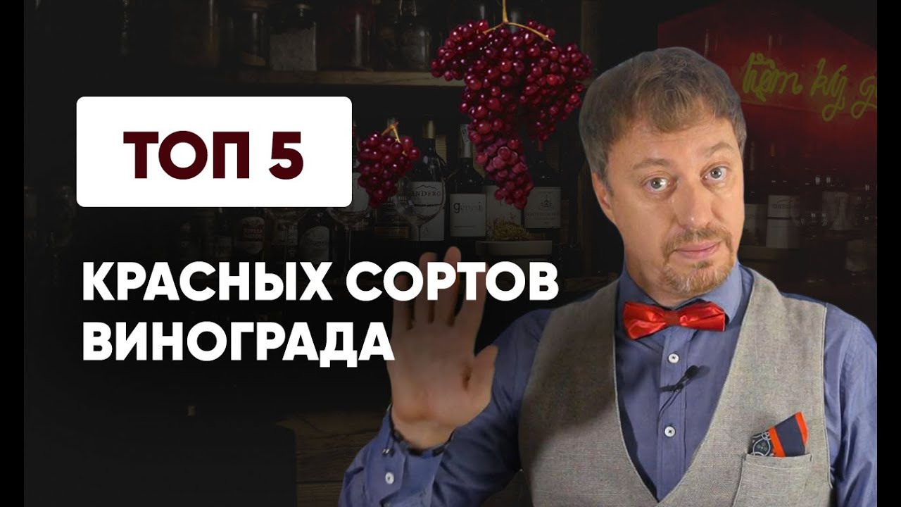 Топ-5 [КРАСНЫХ СОРТОВ ВИНОГРАДА]