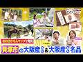 大阪府貝塚市で地元グルメ満喫！体験型ヴィレッジ＆老舗和菓子が最高すぎた！かもん！おおさかもん！！2026年5月後半号