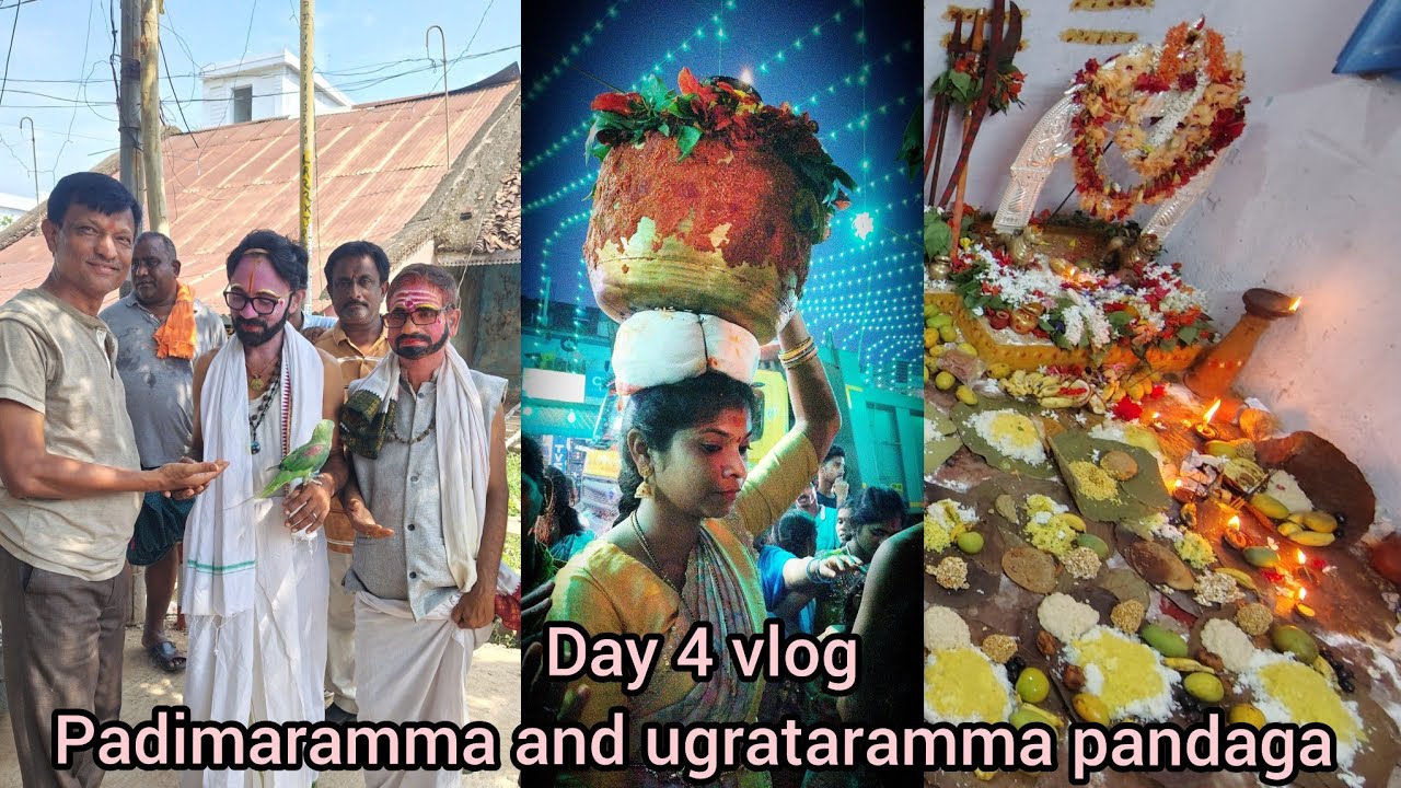 Day 4 vlog || paidimaramma and ugrataramma pandaga || komtlapeta || Rayagada|| sangavianil vlogs