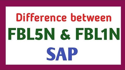 What is Difference between FBL5N & FBL1N | what is open line item | what is ledger | How to Export