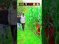 गांव का मकई चोर  #viralvideochallenge#funnyreels #funny #videoviral #funnyvideos #comedy