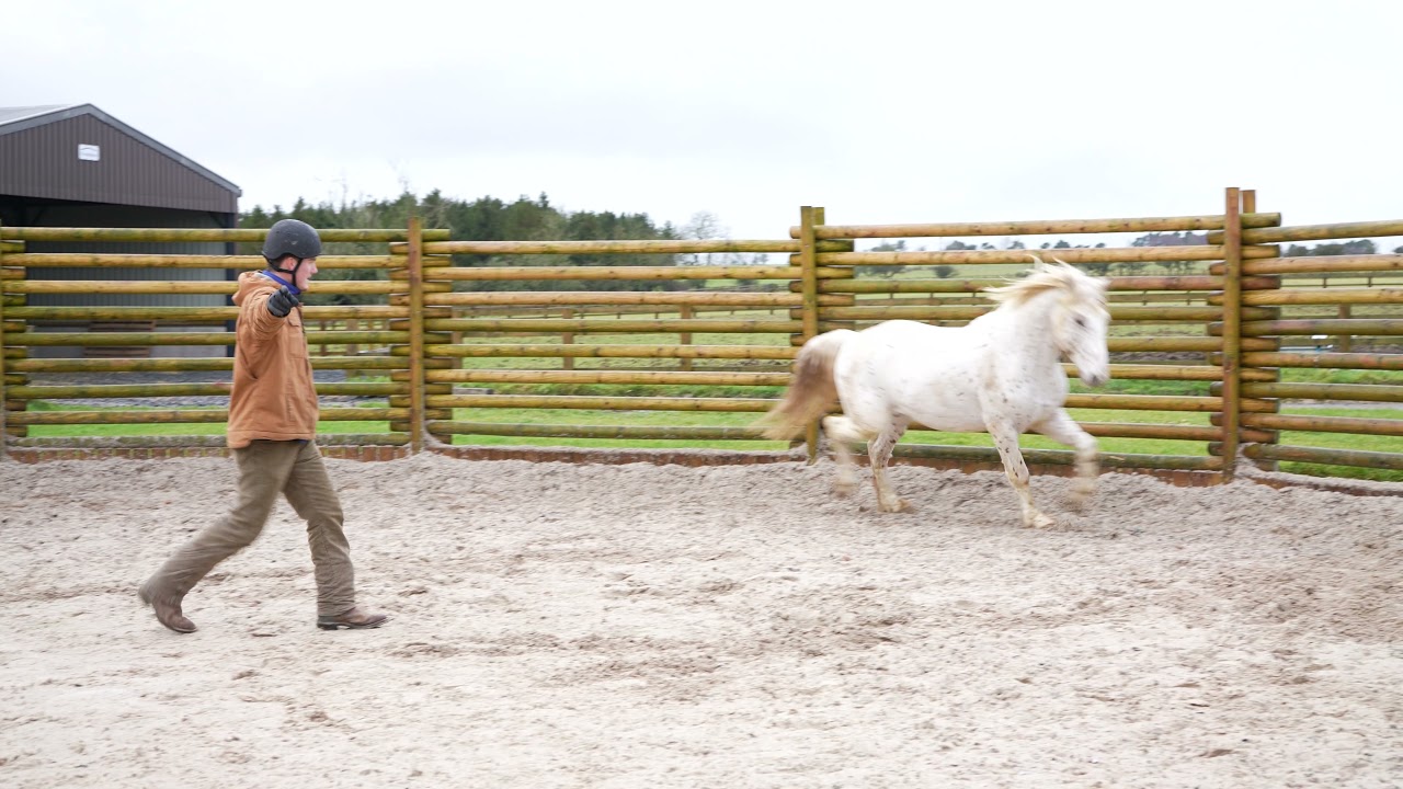 Strawmax Social Media Video 4