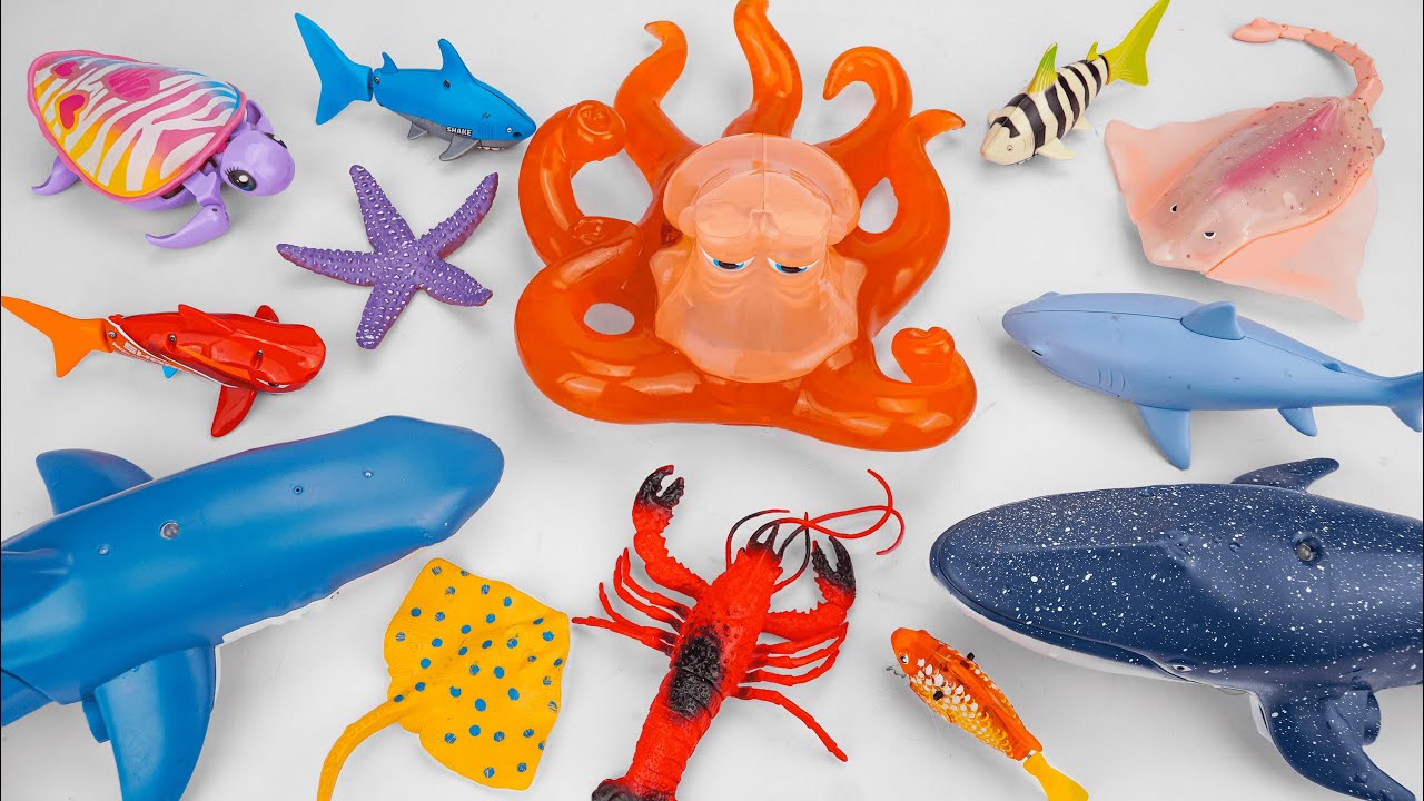 [🦈toy asmr🐙] Whale & Shark & Octopus & Sea Animal Toys Collection | Satisfying With Unboxing