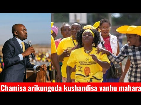 Mumwe Tsigiri WeZanu PF Okurudzira Vatsigiri VaVaChamisa Kuti Vasvinure Sematemba Pane Kushandiswa 