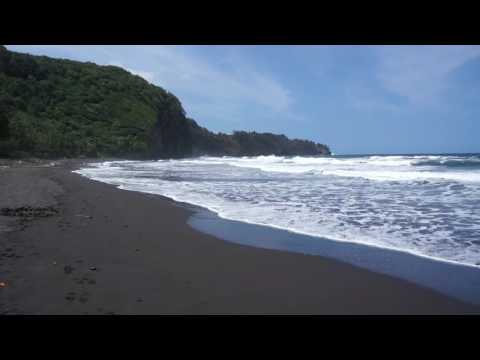 How Far I'll Go [Cover Acapela]