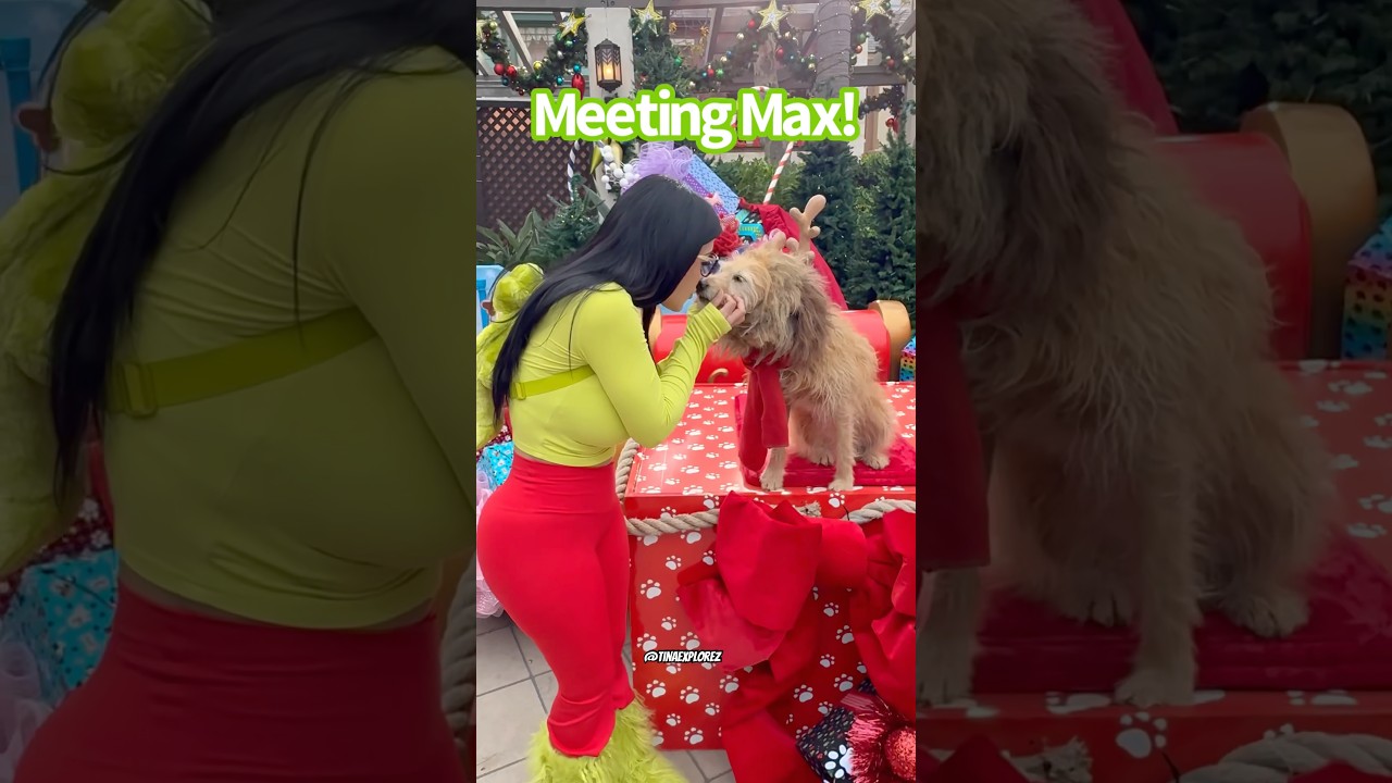 Meeting Grinch’s dog Max at Universal Studios ! #viralshort #grinchmas2024 #whoville #grinch