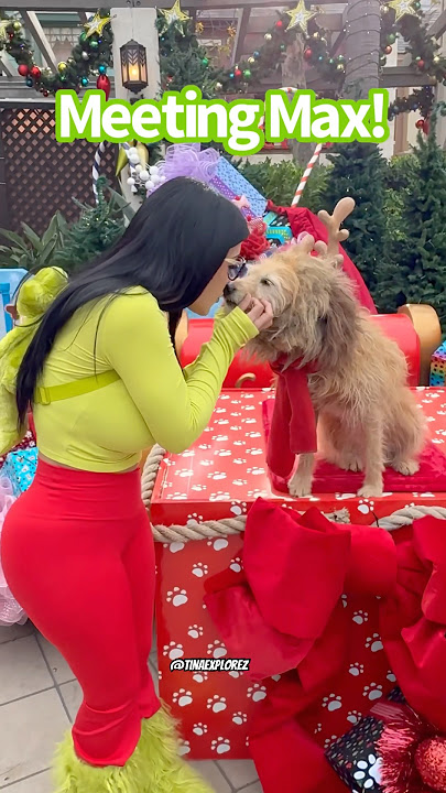 grinch-and-dog-costume