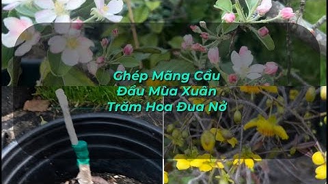 Màu hồng đất là màu gì năm 2024