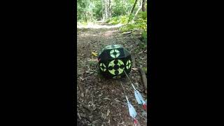 PSE Evolve 35 @ 50 yards, NEW HEAVYWEIGHT ARROW SETUP