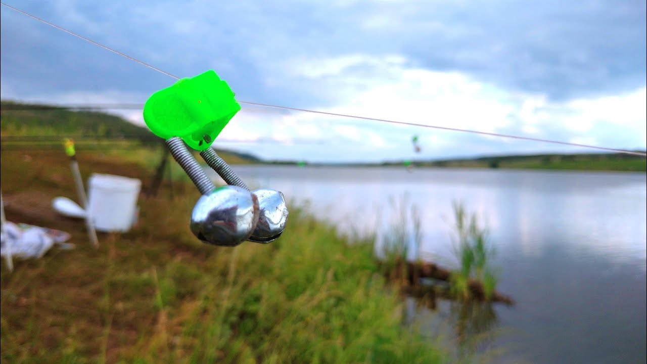 Рыбалка на донки в начале июля 2024.