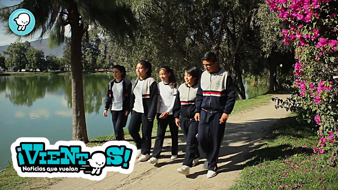 "Proyectos Ecológicos"