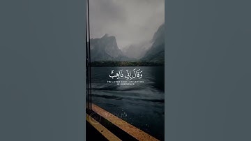 #القارئ #رعد_الكردي #تلاوت #قرآن #قران_كريم #تلاوات #تلاوة_خاشعة #quran #ترتیل