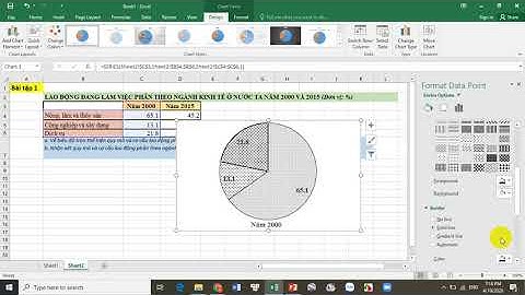 Hướng dẫn vẽ Biểu đồ trên Excel: Tập 2 Biểu đồ Tròn