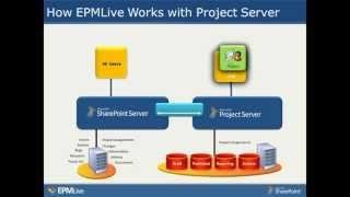 Case Study - How to Get More Out of Your Project Server Deployment