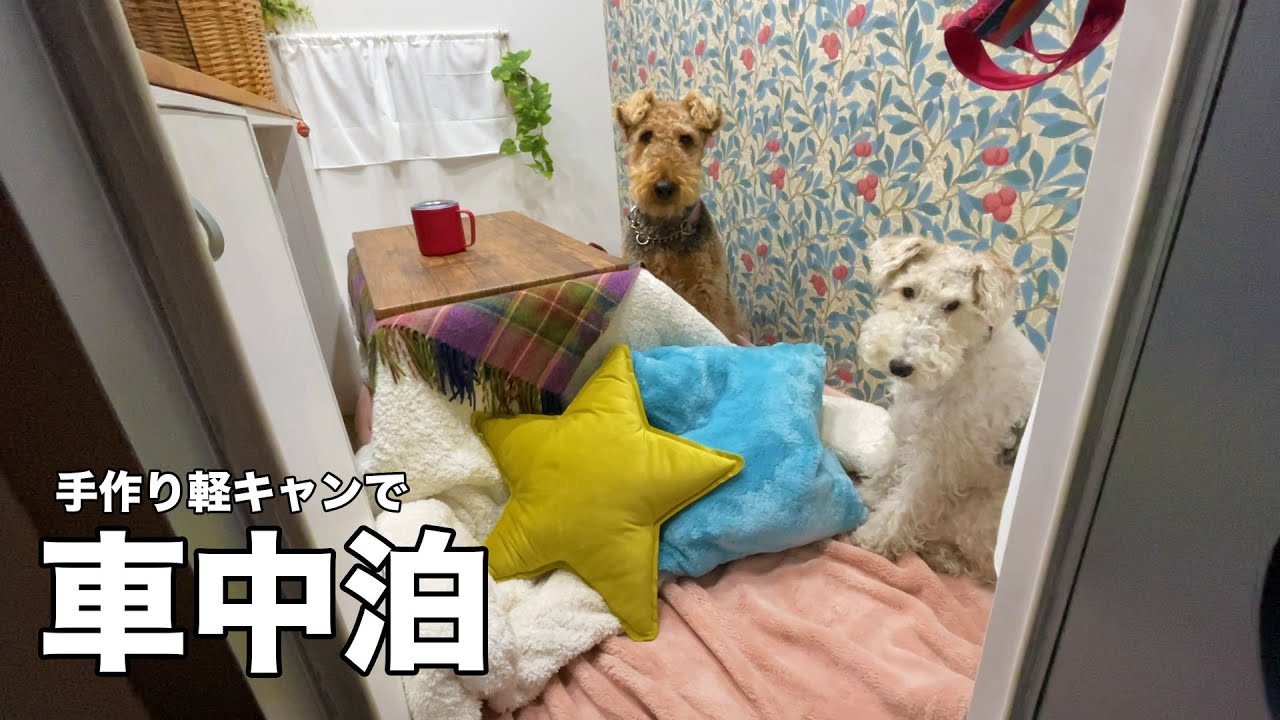 軽トラキャンピングカーで阿蘇に車中泊　VAN LIFE with dogs