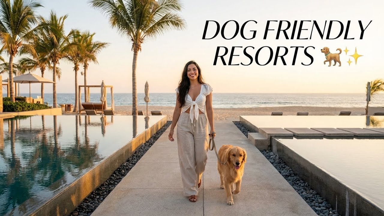 10 best Dog friendly resorts