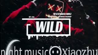 VINAI Feat. Fatman Scoop x Ran-D - Wild (Extended Mix)(Private)