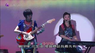 20100529第15屆十大電視廣告頒獎典禮Pt1星光家族(李昊嘉,譚杏藍,陳蕾,戴畹旂)