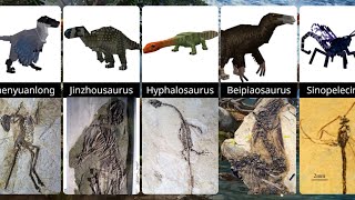MINECRAFT dinosaurs VS real fossils comparison (Jehol Dynasty addon) screenshot 3