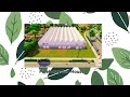 Building a Pineberry Gen House