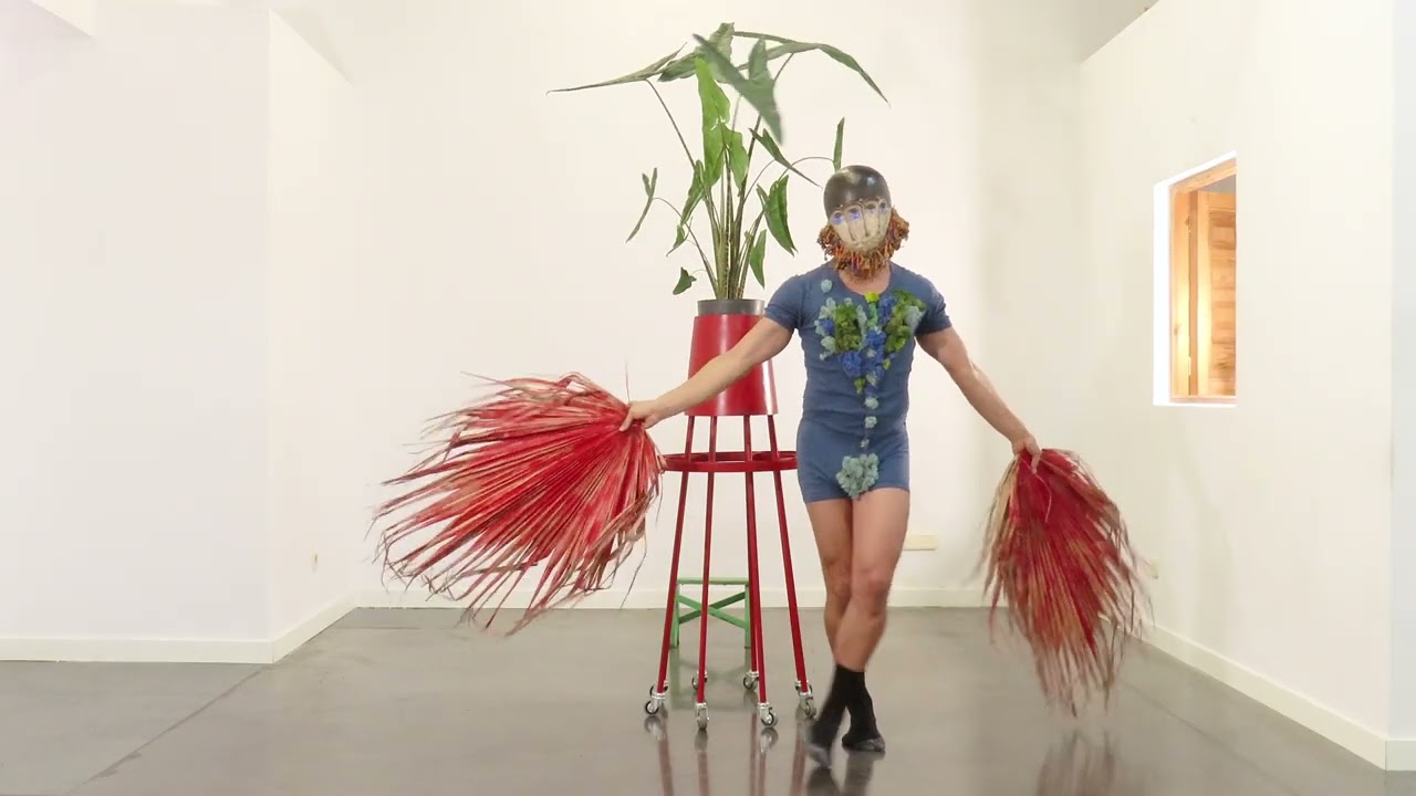 POST INDIGENOUS & ALOCASIA ZEBRINA