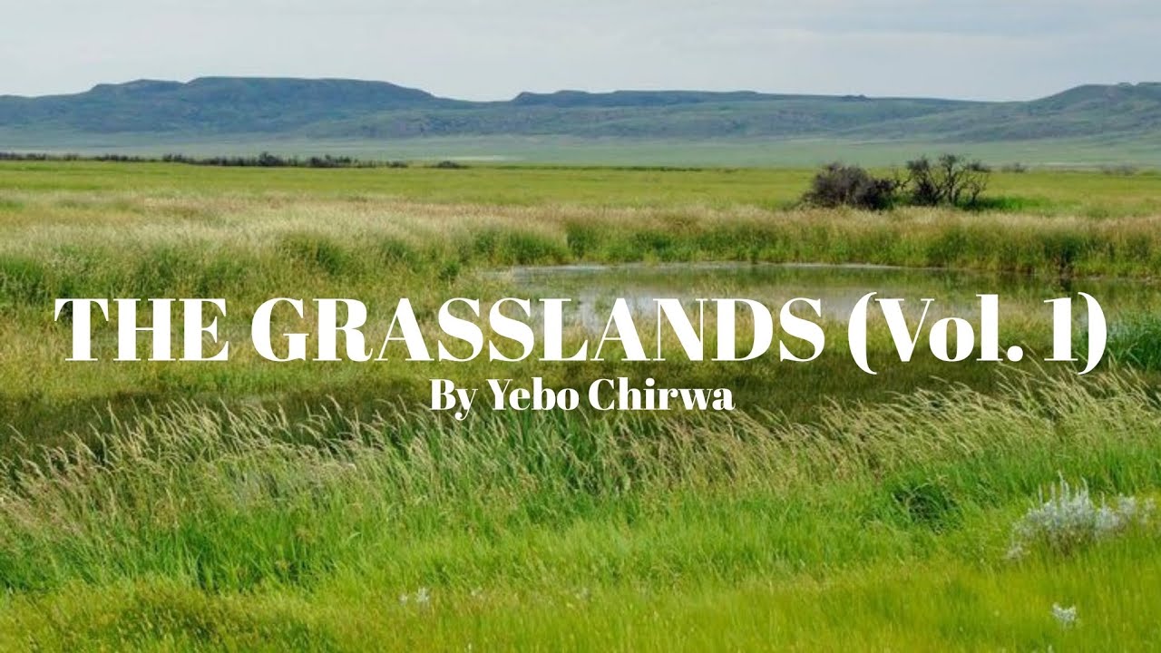 The Grasslands (Vol. 1) YouTube