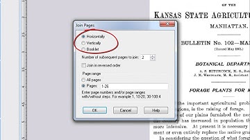 14 Joining scanned pages and images together and page resequencing in PixEdit, Pre-press. PixEdit7.
