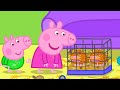 The Pet Shop | Peppa Pig Asia 🐽 Peppa Pig English Episodes