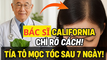 Bí Quyết Tía Tô Giúp Tóc Mọc Lại Ba Lần Nhanh Hơn Chỉ Sau Một Tuần, Rụng Tóc Lâu Năm Cũng Có Hy Vọng